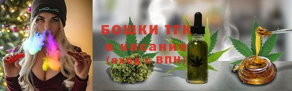 spice Алзамай