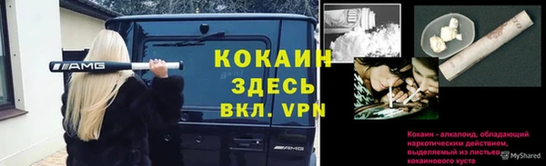 метадон Алексин