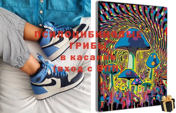 прущие грибы Алексеевка