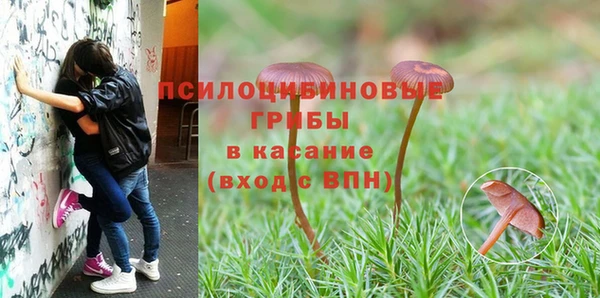 прущие грибы Алексеевка