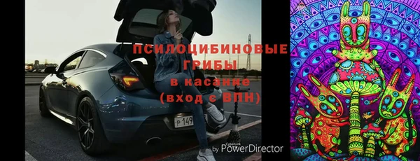 метадон Алексин