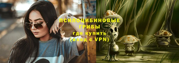 метадон Алексин