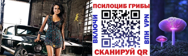 mega зеркало Заозёрный Галлюциногенные грибы Psilocybine cubensis